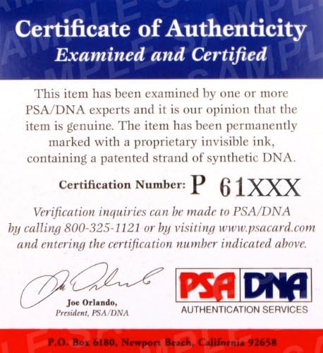 Magic Johnson potpisao je Spalding Službeni NBA košarkaški lakers PSA / DNK autogramirani - autogramirane košarke