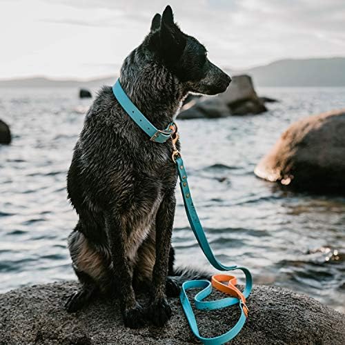 Pawfurever psi ovratnik vodootporni i reflektirajuće ovratnike za pse Meka štenad ovratnici - za vanjsku i dnevnu upotrebu - dostupno u 7 boja - izrađenih u SAD-u