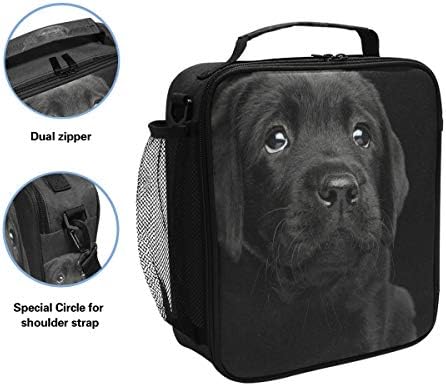 Labrador Retriver kutija za ručak za pse Tote izolovana Školska hladnjača za višekratnu upotrebu za žene i djecu