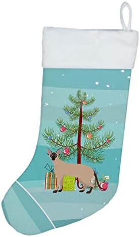 Caroline's COLOROPOint kratkodlaka 2 Mačka veseli božićni božićni čarapa, kamin Viseće čarape Božićna sezona Dekor zabave Obiteljski