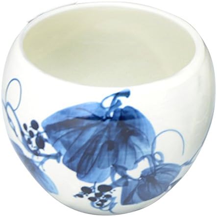 Kyoto Ware 157 Kiyomizu Keramika, čajnik, bijeli, promjer 3,5 inča, keramička peć, čaj za čaj, set, obojeno cvijeće