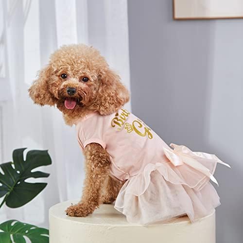 Pas čipka zlata Glitter haljina Princess Tutu suknja za male i srednje djevojke Psi za kućne ljubimce rođendan vjenčanja mladenka