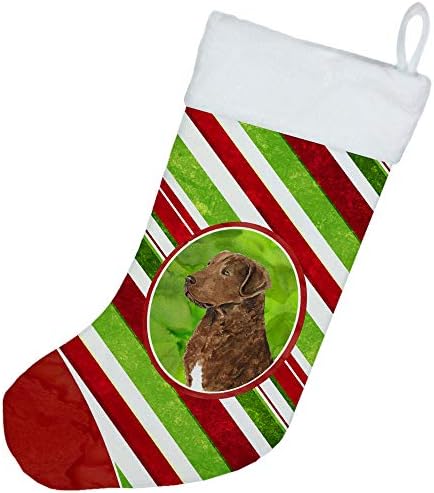 Caroline's blaga SS4600-CS Chesapeake Bay Retriever Candy Cane Holiday Božićne božićne čarape, Kamin Viseći čarape Božićna sezona