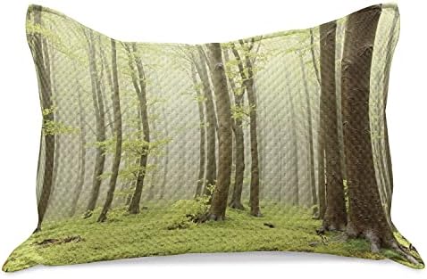Ambesonne Woodland Pleted quilt jastuk, Misty Springtime Beech Forest Fotografija za šume snimljena u planinama Srednje Europe, standardna