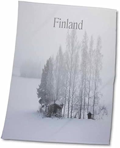 3drose slika zime u ruralnoj Finskoj sa snijegom na kabini - ručnici