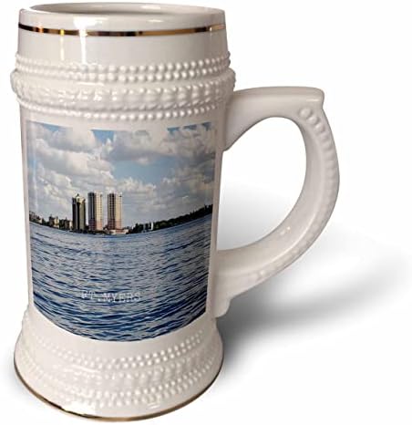 3Droza slika FT Myers Skyline iz rijeke Caloosachatchee - 22oz Stein šolja